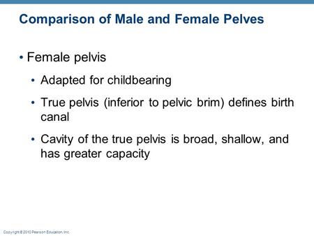 Comparison of Male and Female Pelves