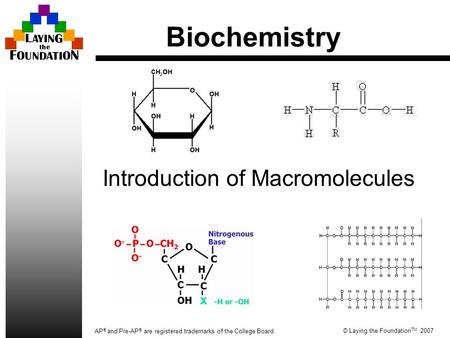 © Laying the Foundation TM 2007 AP ® and Pre-AP ® are registered trademarks of the College Board. Biochemistry Introduction of Macromolecules.