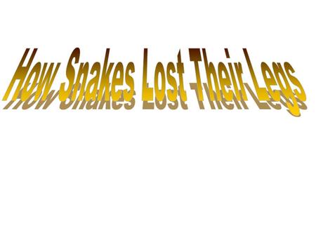 Long ago there was a reptile named snake he was one of the meanest animals. He was so mean that he did not have one friend. He had legs and a wider body.