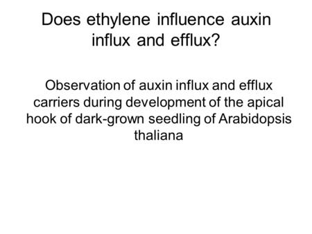 Does ethylene influence auxin influx and efflux? Observation of auxin influx and efflux carriers during development of the apical hook of dark-grown seedling.