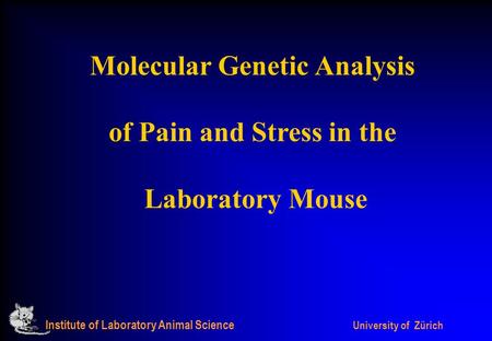 Institute of Laboratory Animal Science University of Zürich Molecular Genetic Analysis of Pain and Stress in the Laboratory Mouse.