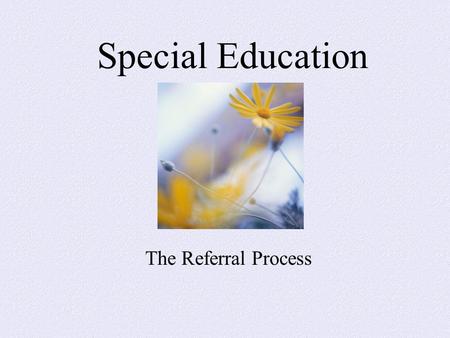 Special Education The Referral Process. Snapshot of the Process I.Teacher identifies struggling student. II.Teacher obtains a baseline of student’s performance.