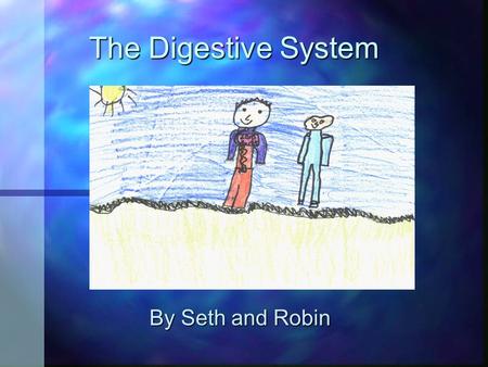 The Digestive System By Seth and Robin. Did you know that when you eat an apple, a hamburger, or anything else, your digestive system breaks it down so.