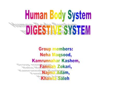 When you eat foods such as bread, meat, and vegetables they are not in a form that the body can use as nourishment. Food and drink must be changed into.