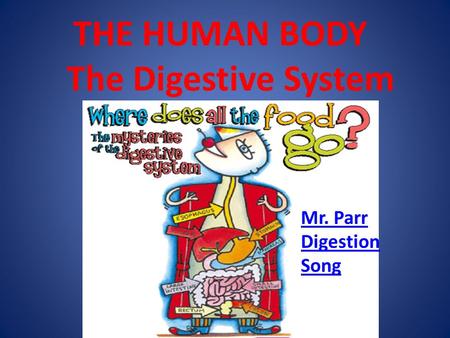 THE HUMAN BODY The Digestive System