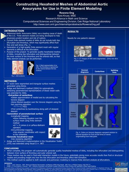 METHODS CT scans were segmented and triangular surface meshes generated using Amira. Antiga and Steinman’s method (2004) for automatically extracting parameterized.