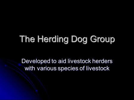 The Herding Dog Group Developed to aid livestock herders with various species of livestock.