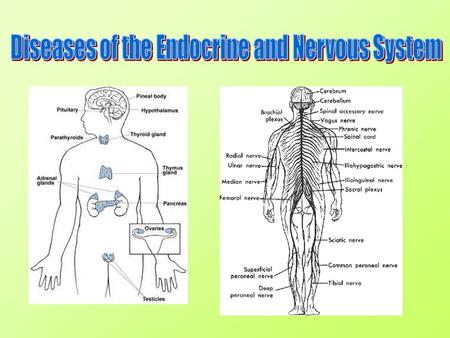 Aim: What are some diseases that affect our regulatory systems? I. Regulatory System Diseases A. Nervous System Diseases 1. Meningitis - Meningitis.