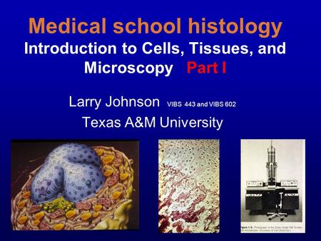 Medical school histology Introduction to Cells, Tissues, and Microscopy Part I Larry Johnson VIBS 443 and VIBS 602 Texas A&M University.