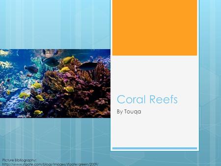 Coral Reefs By Touqa Picture Bibliography:  08/03/reef625x416600x399.jpg.