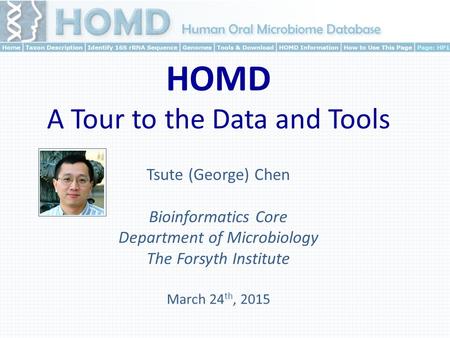 Tsute (George) Chen Bioinformatics Core Department of Microbiology The Forsyth Institute March 24 th, 2015 HOMD A Tour to the Data and Tools.