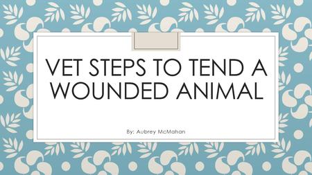 VET STEPS TO TEND A WOUNDED ANIMAL By: Aubrey McMahan.