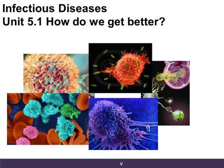 V v v v Infectious Diseases Unit 5.1 How do we get better?