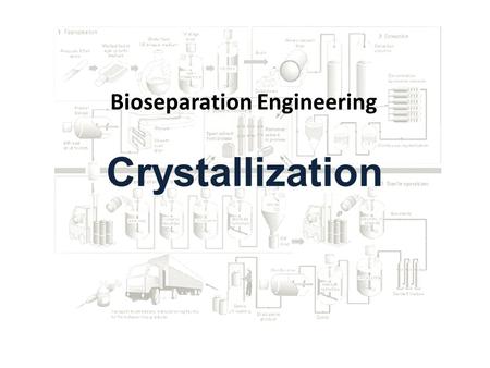 Bioseparation Engineering