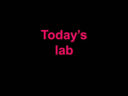 Today’s lab. Activities of Metals Single replacement reactions.