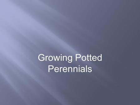 Growing Potted Perennials. zWHST.9 ‐ 12.9 Draw evidence from informational texts to support analysis, reflection, and research. (HS ‐ LS1 ‐ 1) zWHST.9.