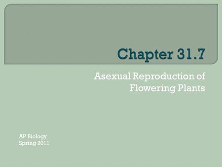 Asexual Reproduction of Flowering Plants AP Biology Spring 2011.