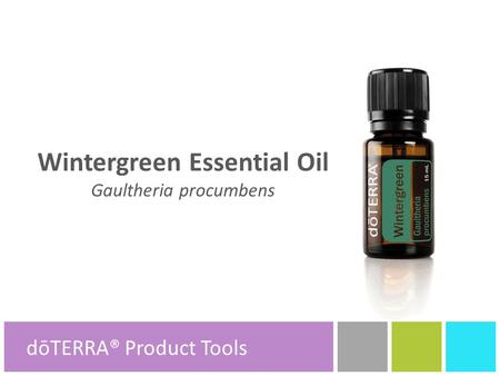 Wintergreen Essential Oil