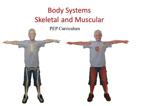 Body Systems Skeletal and Muscular PEP Curriculum.