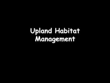 Upland Habitat Management. Upland Britain 40% of UK land.