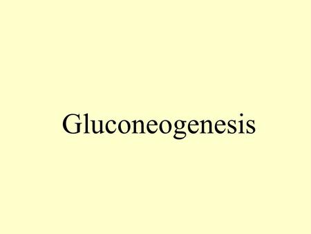 Gluconeogenesis Title - making glucose.