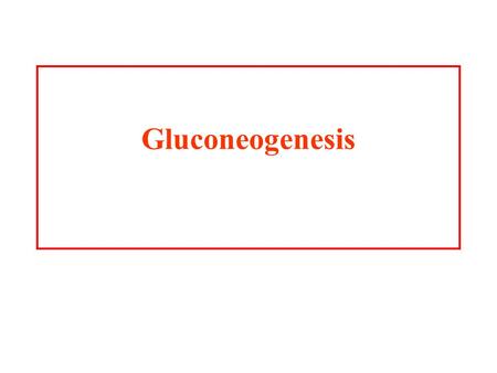 Gluconeogenesis.