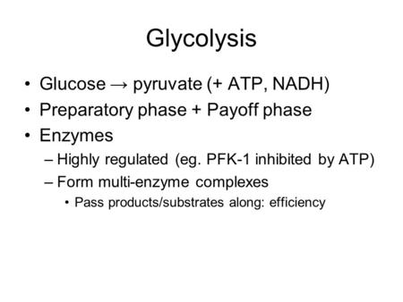 Glycolysis Glucose → pyruvate (+ ATP, NADH) Preparatory phase + Payoff phase Enzymes –Highly regulated (eg. PFK-1 inhibited by ATP) –Form multi-enzyme.