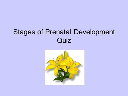 Stages of Prenatal Development Quiz. Directions: Match the stage of prenatal development with the statement. A.Period of the Zygote B.Period of the Embryo.