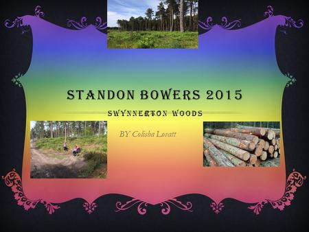 STANDON BOWERS 2015 SWYNNERTON WOODS BY Colisha Lovatt.