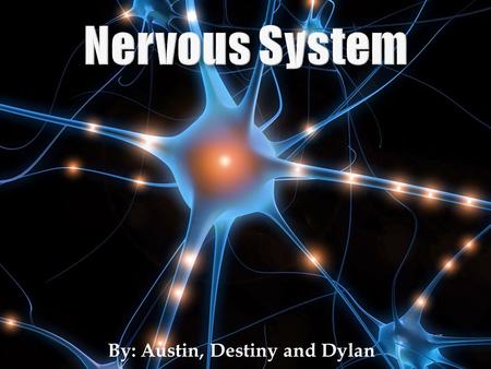 By: Austin, Destiny and Dylan. Slide 3-4:The Two Major Organs Slide 5: Working Together Slide 6-7: Two Systems That Connect To The Nervous System Slide.