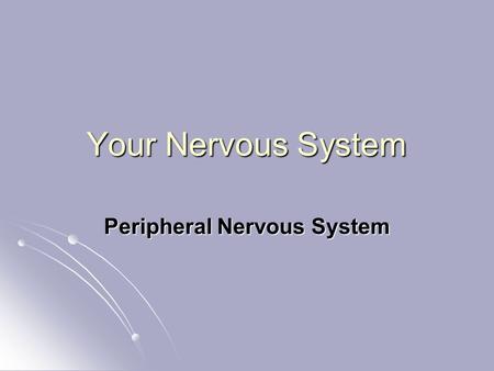 Your Nervous System Peripheral Nervous System. Explain which consists of is divided into that make up which is divided into Section 35-3 The Nervous System.