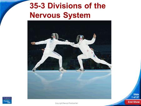 End Show Slide 1 of 37 Copyright Pearson Prentice Hall 35-3 Divisions of the Nervous System.