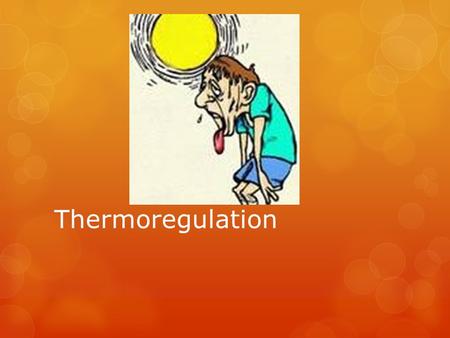 Thermoregulation. Homeostasis – Is the stable, constant temperature for the human body to most effectively function. This is around 37 degrees Celsius.