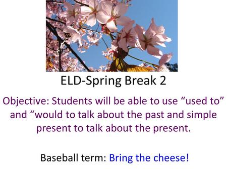 ELD-Spring Break 2 Objective: Students will be able to use “used to” and “would to talk about the past and simple present to talk about the present. Baseball.