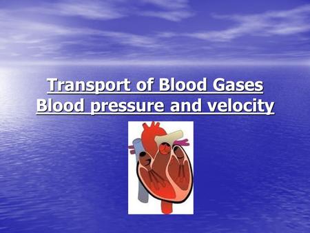 Transport of Blood Gases Blood pressure and velocity.