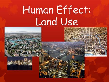 Human Effect: Land Use. Urbanization Physical growth of urban areas as result of rural migration Currently more people living in urban areas than rural.