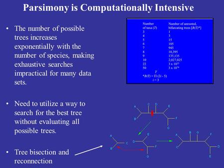 Parsimony is Computationally Intensive