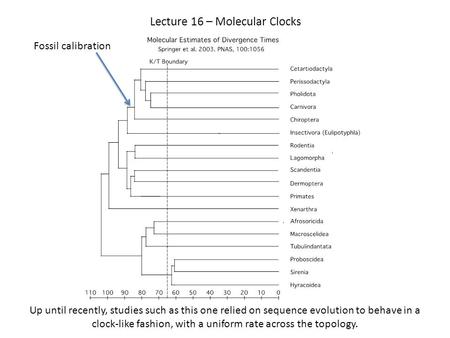 Lecture 16 – Molecular Clocks Up until recently, studies such as this one relied on sequence evolution to behave in a clock-like fashion, with a uniform.