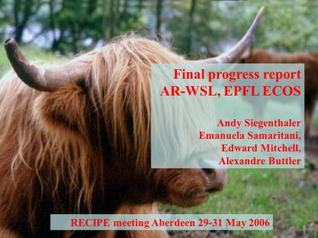 RECIPE meeting Aberdeen 29-31 May 2006 Final progress report AR-WSL, EPFL ECOS Andy Siegenthaler Emanuela Samaritani, Edward Mitchell, Alexandre Buttler.