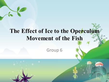 The Effect of Ice to the Operculum Movement of the Fish Group 6.