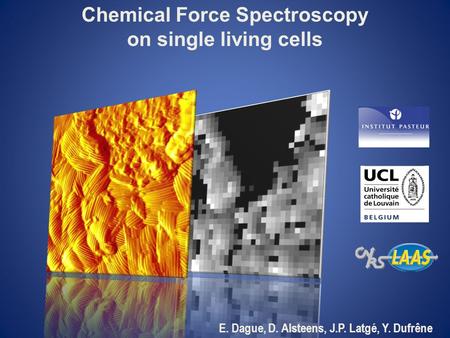 Chemical Force Spectroscopy on single living cells E. Dague, D. Alsteens, J.P. Latgé, Y. Dufrêne.