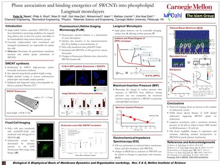 Phase association and binding energetics of SWCNTs into phospholipid Langmuir monolayers Peter N. Yaron 1, Philip A. Short 2, Brian D. Holt 2, Goh Haw-Zan.