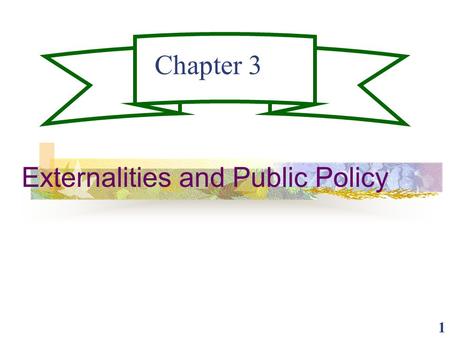 Externalities and Public Policy