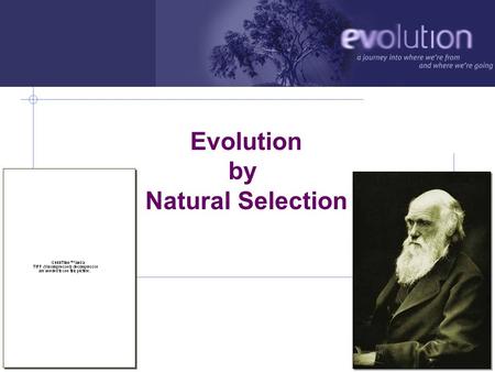 AP Biology 2006-2007 Evolution by Natural Selection.