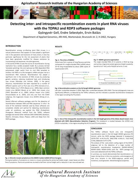 Agricultural Research Institute of the Hungarian Academy of Sciences Detecting inter- and intraspecific recombination events in plant RNA viruses with.