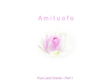 A m i t u o f o Pure Land Chants – Part 1 Pure Land is a form of Mahayana Buddhism. While widely practiced in Asia, its roots are only starting to form.