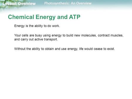 Lesson Overview Lesson Overview Photosynthesis: An Overview Chemical Energy and ATP Energy is the ability to do work. Your cells are busy using energy.