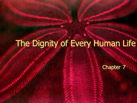 The Dignity of Every Human Life Chapter 7. Silently Read “Will I live to be Seventeen” page 92 In small groups discuss the Discussion questions on the.