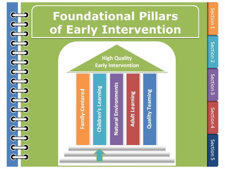 Section 1 Section 2 Section 3 Section 4 Section 5 Foundational Pillars of Early Intervention.