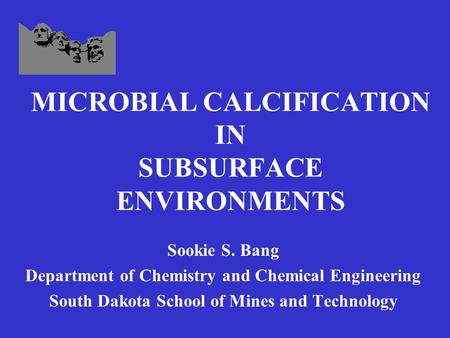 MICROBIAL CALCIFICATION IN SUBSURFACE ENVIRONMENTS